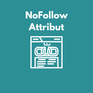 NoFollow einfach erklärt